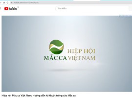 Hiệp hội Mắc ca Việt Nam: Hướng dẫn kỹ thuật trồng cây Mắc ca